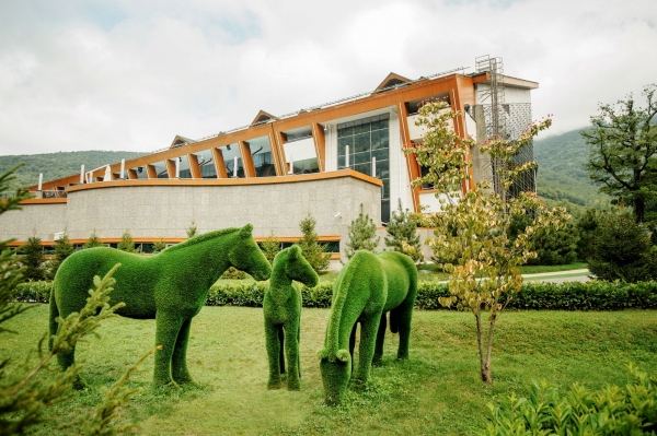 Hourse TOPIARY in ajman