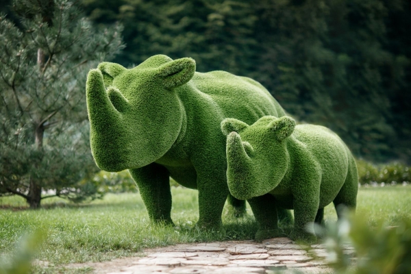 Rhinoceros TOPIARY In dubai