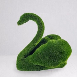 Swan TOPIARY in dubai