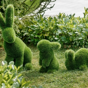 Tortoises TOPIARY in dubai