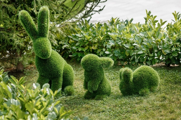 Tortoises TOPIARY in dubai