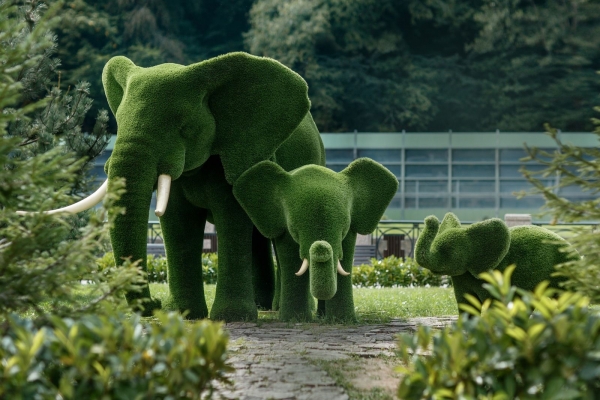 Elephant TOPIARY Dubai